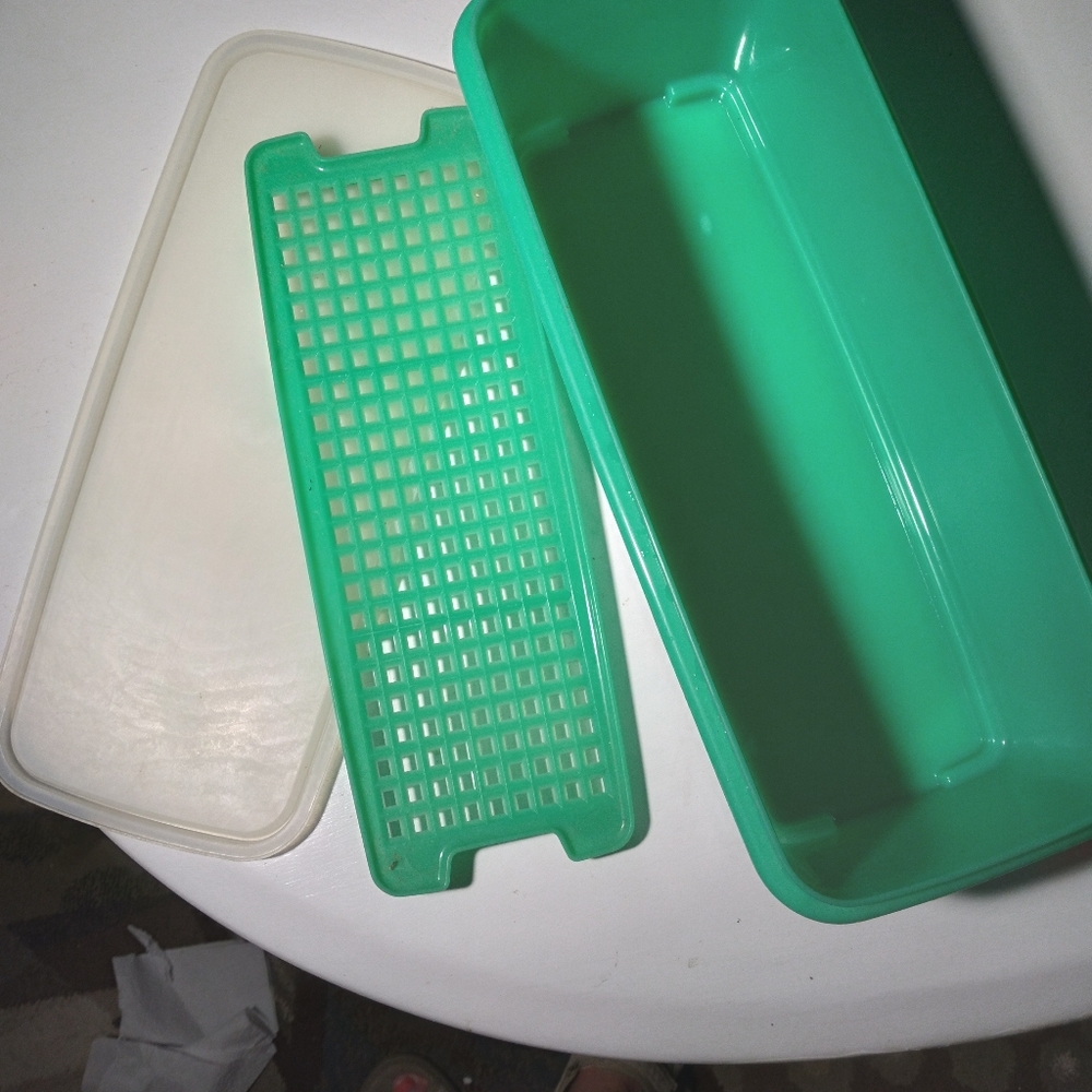 Tupperware celery container - Picture 2 of 2